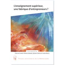 L’enseignement supérieur, une fabrique d’entrepreneurs ?